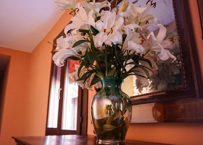 Guest house Antica Dimora Della Racchetta Ferrara